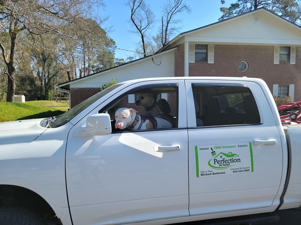 Perfection in Paint team Jacksonville FL